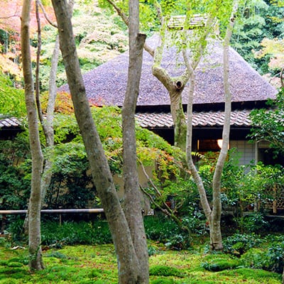 祇王寺について